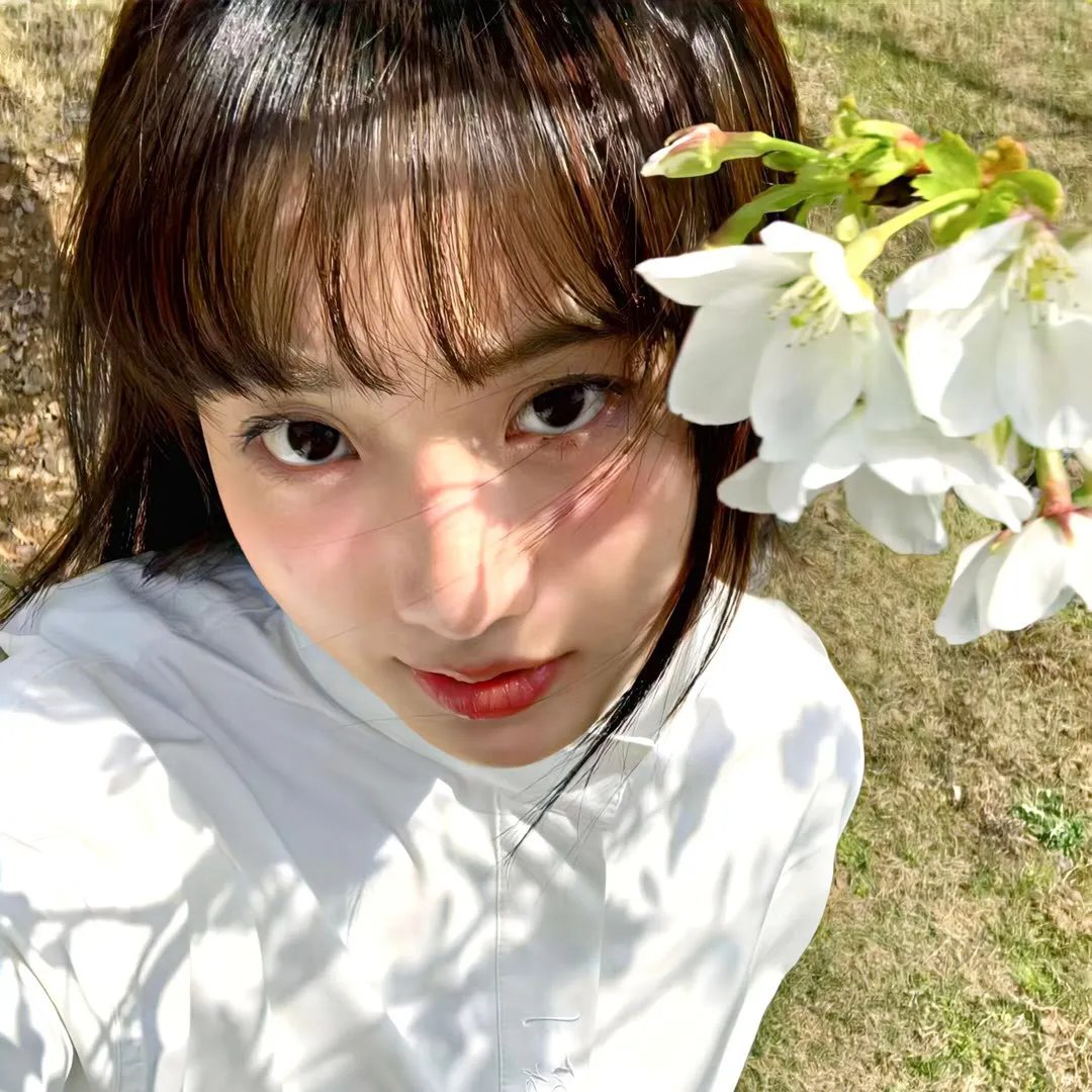 新蝶恋花